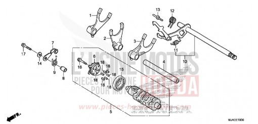 GEAR SHIFT DRUM VT750CSE de 2014